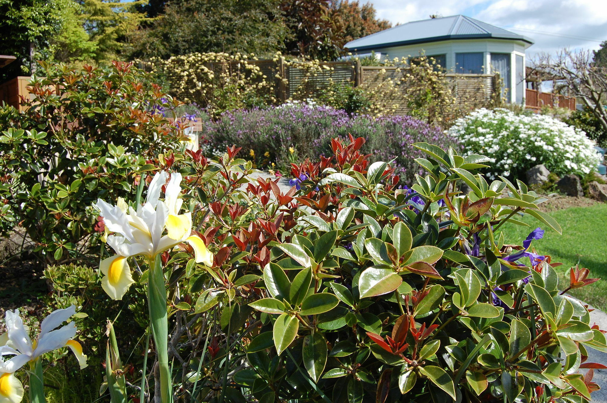 Te Awa Lodge Paihia Exterior foto