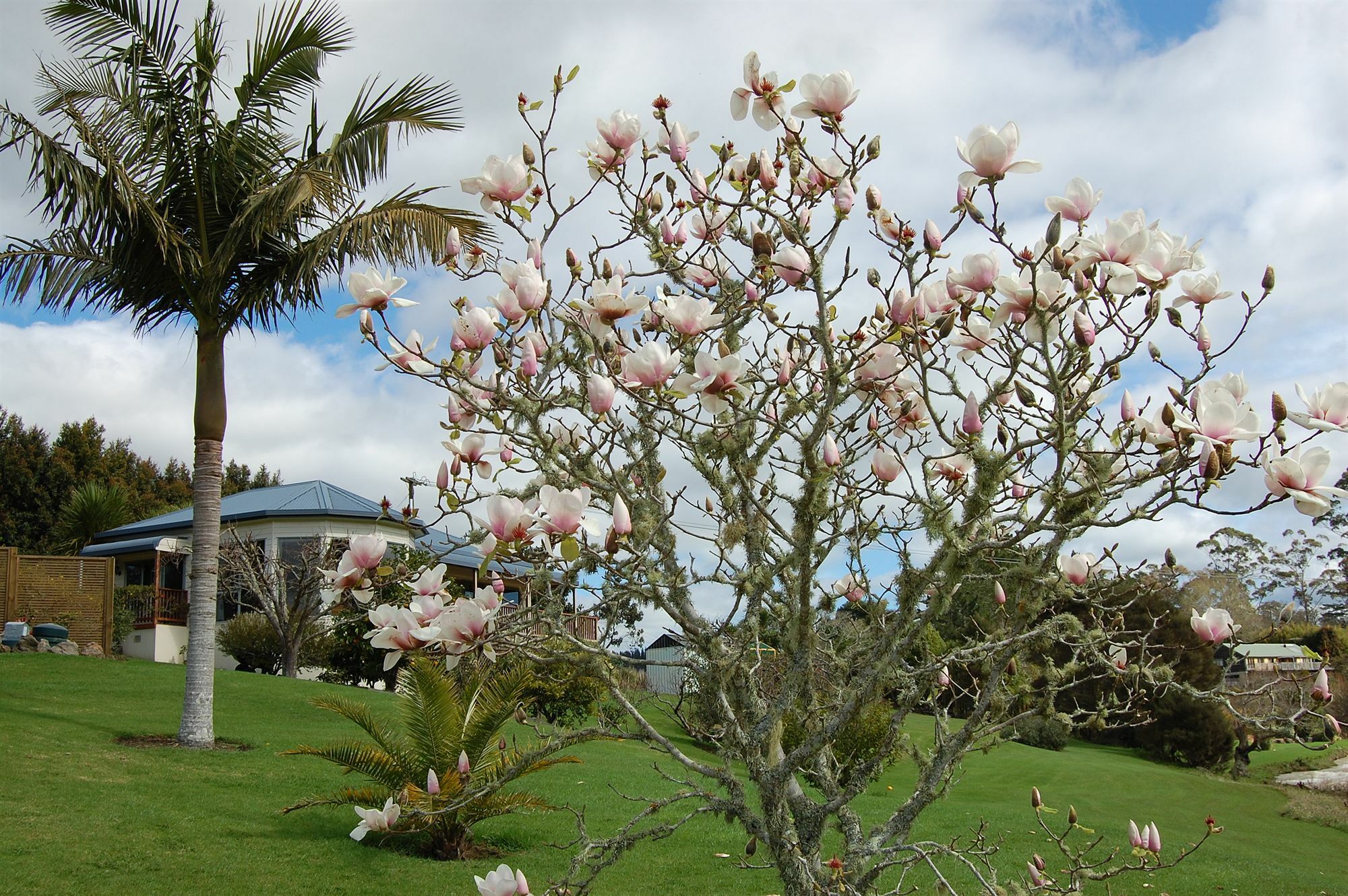 Te Awa Lodge Paihia Exterior foto